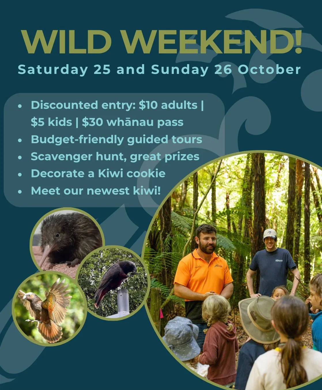 Pukaha wild weekend October 25 and 26