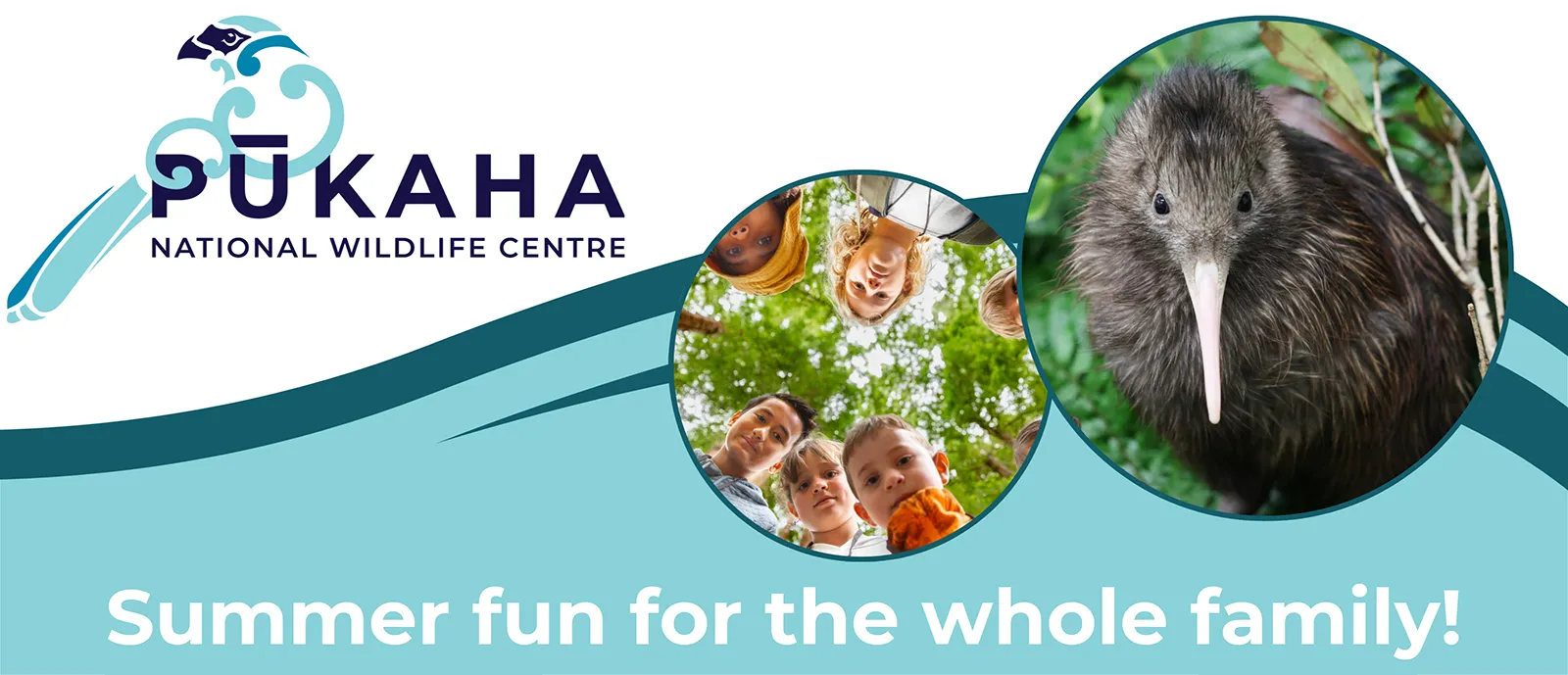 Have a Pūkaha summer 2025 6