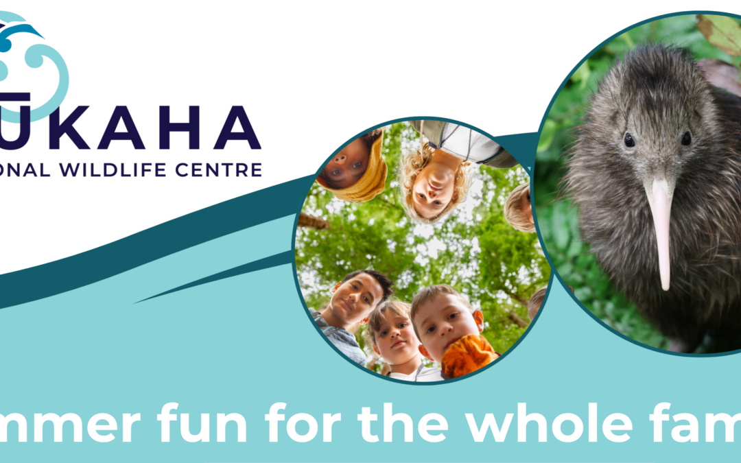 Have a Pūkaha summer