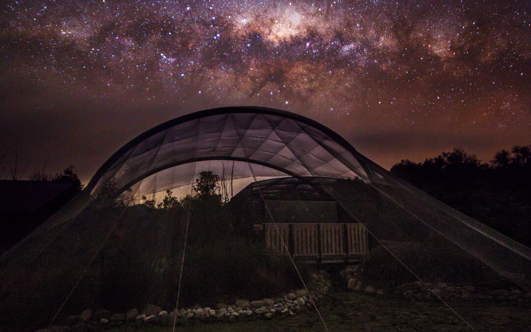 Pūkaha After Dark – Wairarapa Walking Festival 2026