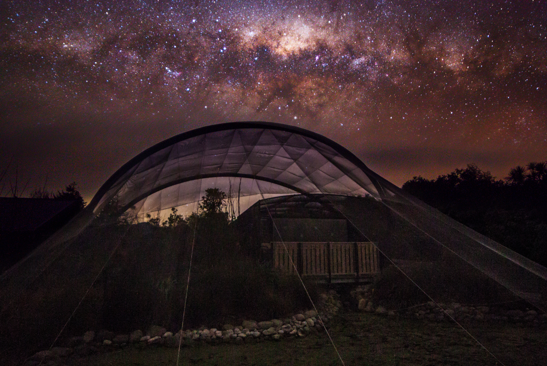 Pukaha free flight at night SML