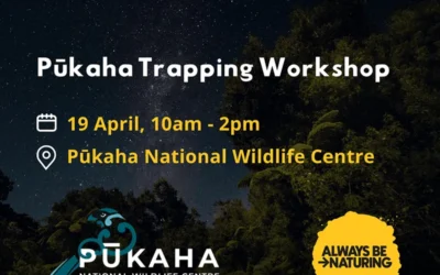 Pukaha Trapping Workshop