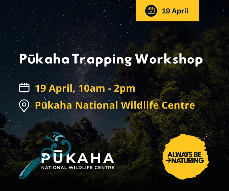 pukaha trapping workshop 19 April 2026 pukaha trapping workshop 19 April 2026