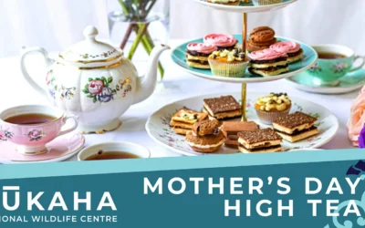 Mother’s Day High Tea at Pukaha