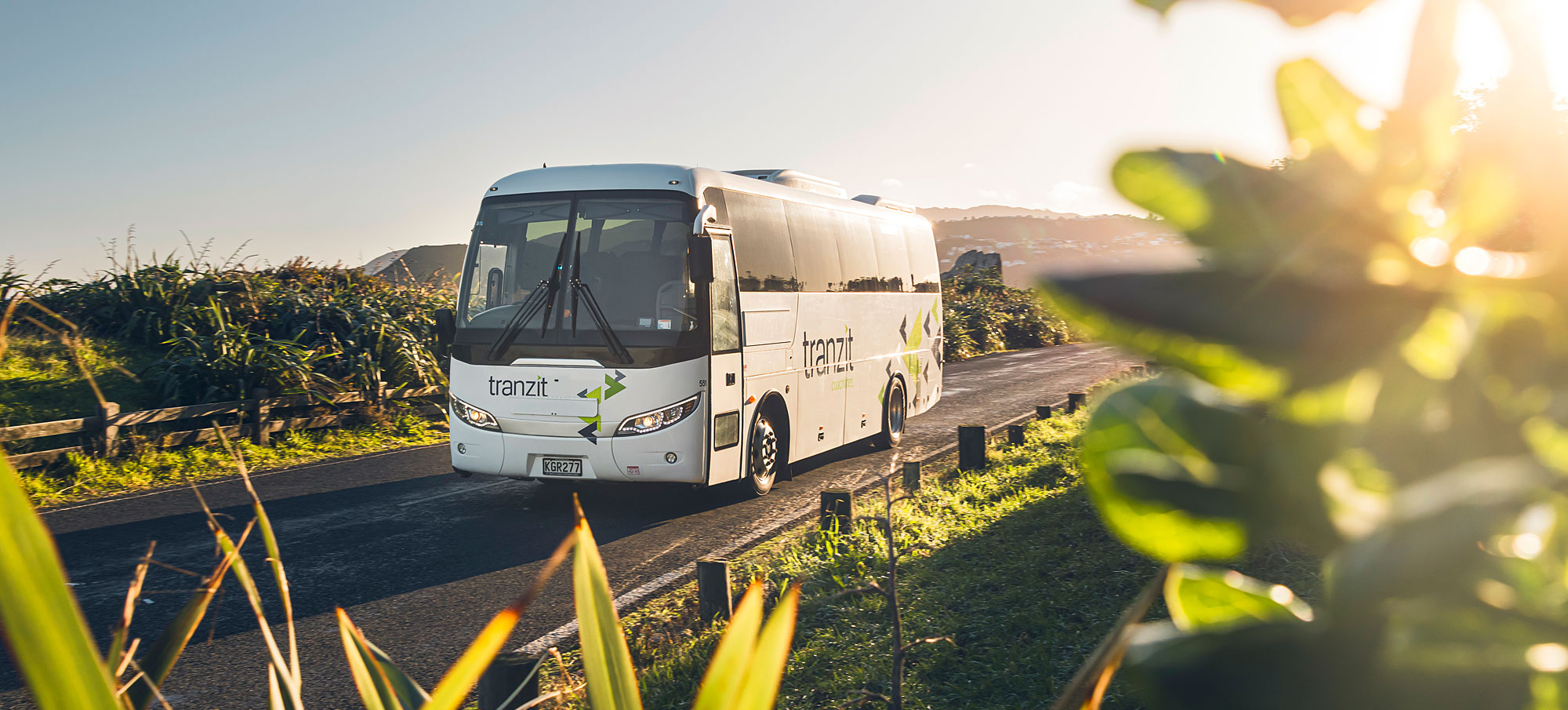 tranzit bus photo