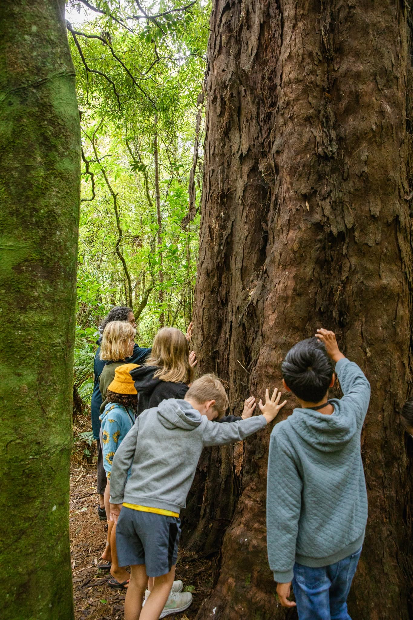 Learners exploring the ngahere at Pūkaha